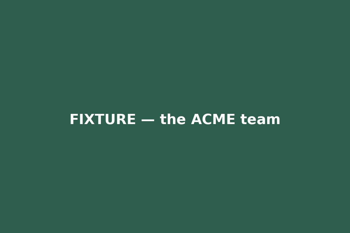 The ACME team